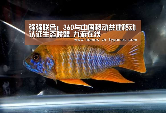 强强联合！360与中国移动共建移动认证生态联盟_九游在线