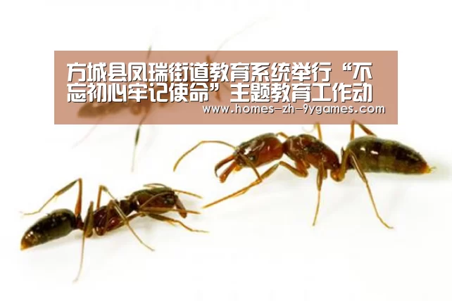 方城县凤瑞街道教育系统举行“不忘初心牢记使命”主题教育工作动