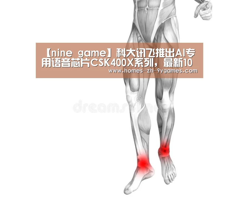 【nine game】科大讯飞推出AI专用语音芯片CSK400X系列,最新1024计划问世(图2) nine game