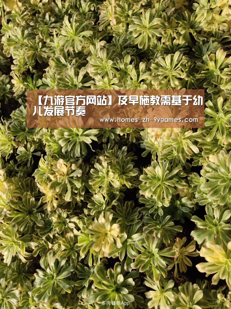 【九游官方网站】及早施教需基于幼儿发展节奏(图3) 九游在线