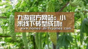 九游官方网站：小米线下转型成功！中国第100家小米之家来了