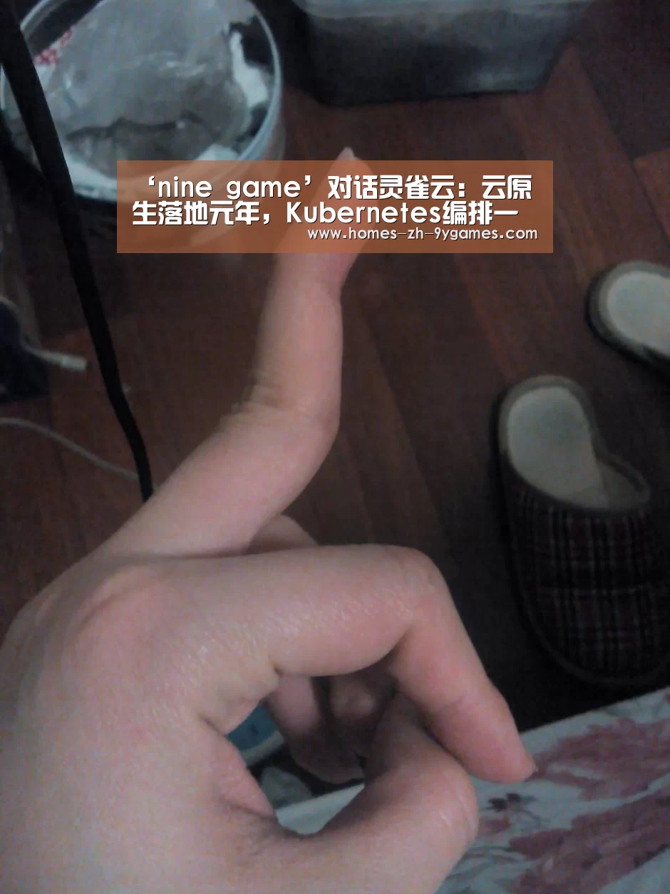 ‘nine game’对话灵雀云：云原生落地元年，Kuber