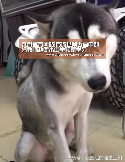 九游首页